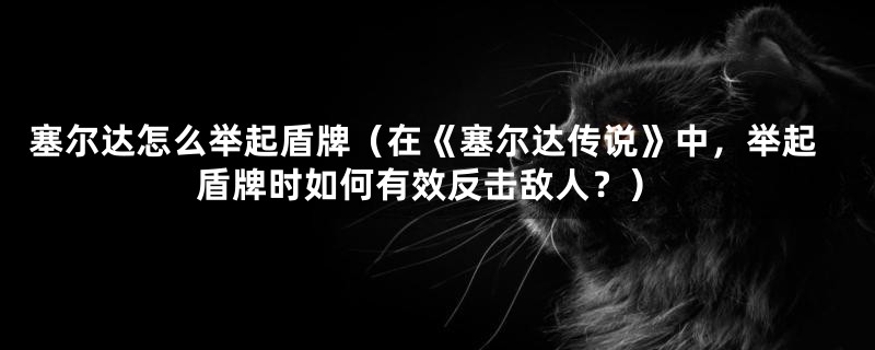 塞尔达怎么举起盾牌(在《塞尔达传说》中,举起盾牌时如何有效反击敌人?)