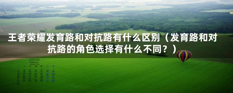 王者荣耀发育路和对抗路有什么区别(发育路和对抗路的角色选择有什么不同?)