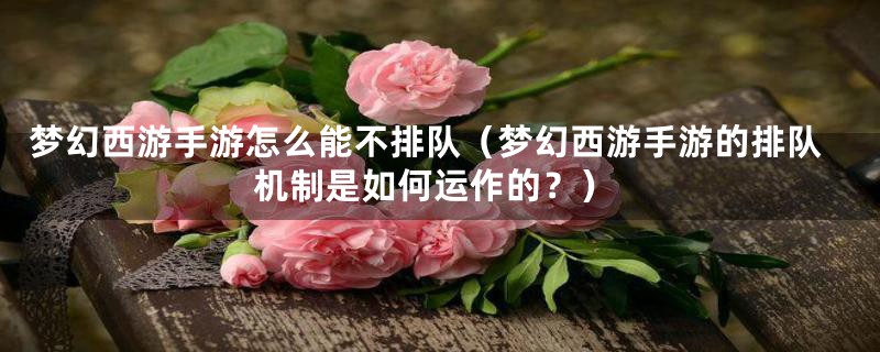 梦幻西游手游怎么能不排队(梦幻西游手游的排队机制是如何运作的?)