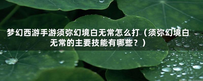 梦幻西游手游须弥幻境白无常怎么打（须弥幻境白无常的主要技能有哪些？）