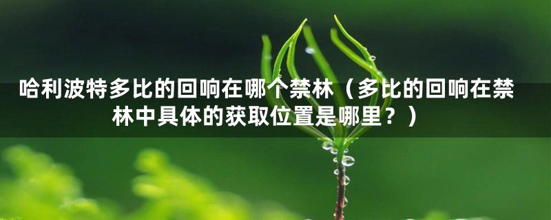 哈利波特多比的回响在哪个禁林(多比的回响在禁林中具体的获取位置是哪里?)