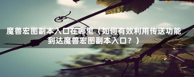 魔兽宏图副本入口在哪里(如何有效利用传送功能到达魔兽宏图副本入口?)