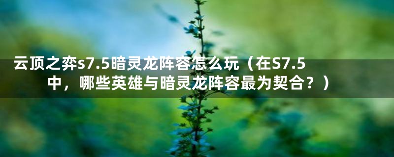 云顶之弈s7.5暗灵龙阵容怎么玩(在S7.5中,哪些英雄与暗灵龙阵容最为契合?)