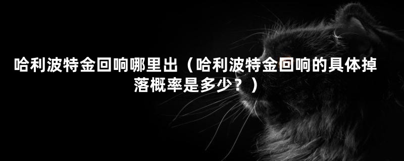 哈利波特金回响哪里出(哈利波特金回响的具体掉落概率是多少?)