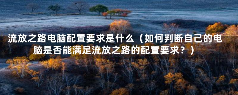 流放之路电脑配置要求是什么(如何判断自己的电脑是否能满足流放之路的配置要求?)