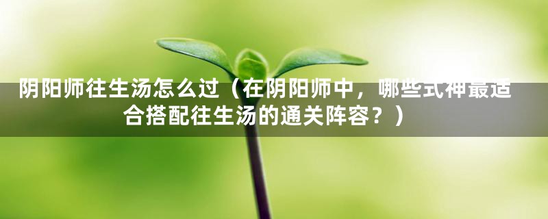 阴阳师往生汤怎么过（在阴阳师中，哪些式神最适合搭配往生汤的通关阵容？）
