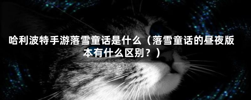 哈利波特手游落雪童话是什么(落雪童话的昼夜版本有什么区别?)