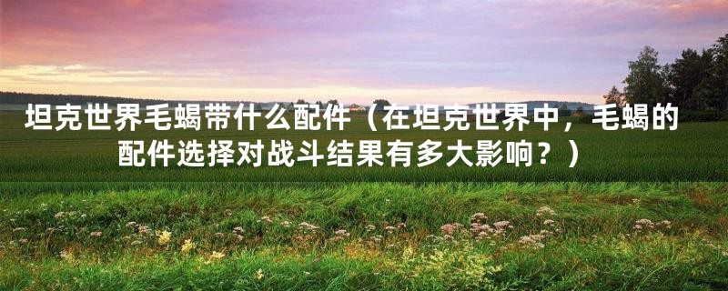 坦克世界毛蝎带什么配件(在坦克世界中,毛蝎的配件选择对战斗结果有多大影响?)