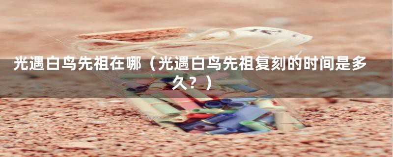 光遇白鸟先祖在哪（光遇白鸟先祖复刻的时间是多久？）