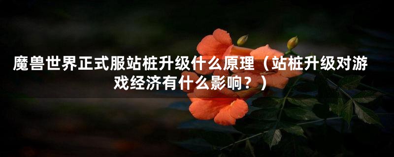 魔兽世界正式服站桩升级什么原理(站桩升级对游戏经济有什么影响?)