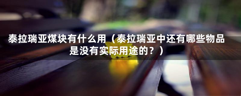 泰拉瑞亚煤块有什么用(泰拉瑞亚中还有哪些物品是没有实际用途的?)