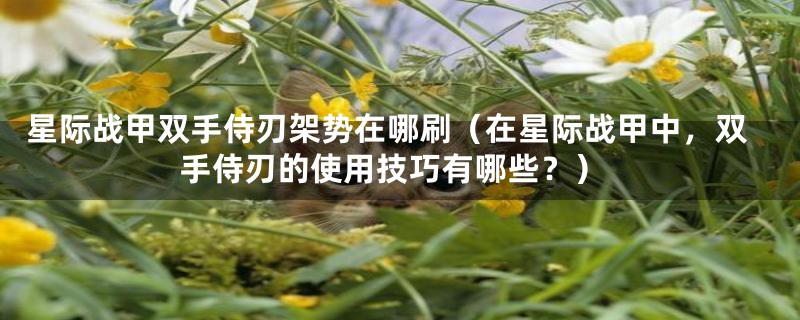 星际战甲双手侍刃架势在哪刷（在星际战甲中，双手侍刃的使用技巧有哪些？）