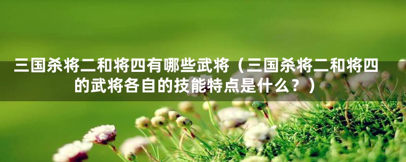 三国杀将二和将四有哪些武将(三国杀将二和将四的武将各自的技能特点是什么?)
