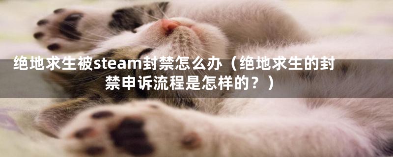 绝地求生被steam封禁怎么办（绝地求生的封禁申诉流程是怎样的？）