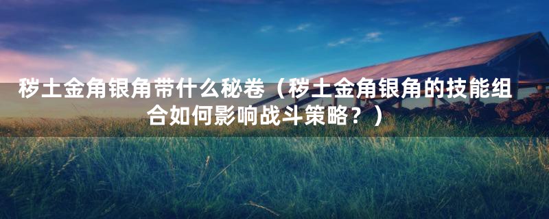 秽土金角银角带什么秘卷(秽土金角银角的技能组合如何影响战斗策略?)