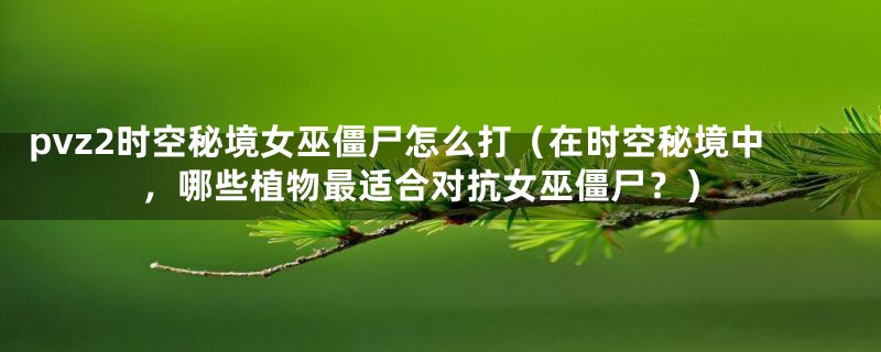 pvz2时空秘境女巫僵尸怎么打(在时空秘境中,哪些植物最适合对抗女巫僵尸?)
