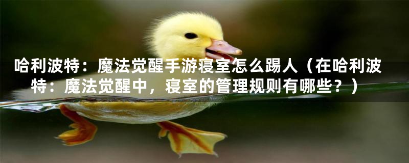哈利波特:魔法觉醒手游寝室怎么踢人(在哈利波特:魔法觉醒中,寝室的管理规则有哪些?)