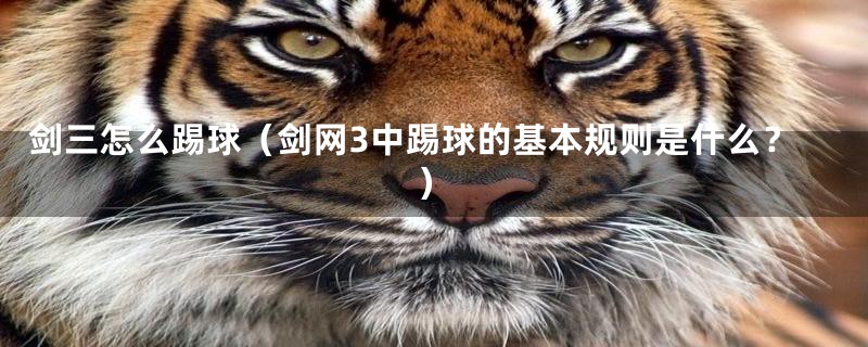 剑三怎么踢球(剑网3中踢球的基本规则是什么?)