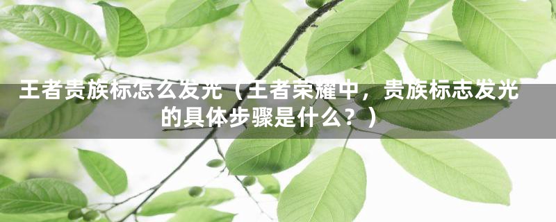 王者贵族标怎么发光(王者荣耀中,贵族标志发光的具体步骤是什么?)