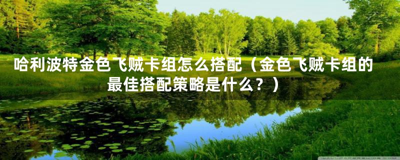 哈利波特金色飞贼卡组怎么搭配(金色飞贼卡组的最佳搭配策略是什么?)