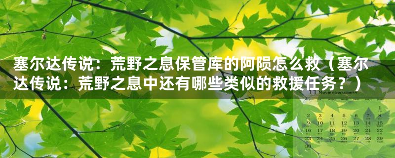 塞尔达传说:荒野之息保管库的阿陨怎么救(塞尔达传说:荒野之息中还有哪些类似的救援任务?)