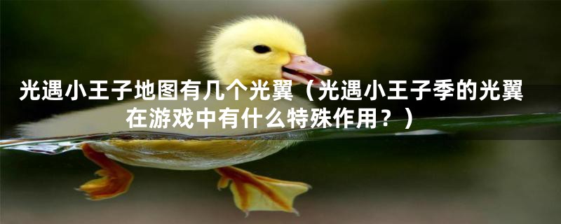 光遇小王子地图有几个光翼(光遇小王子季的光翼在游戏中有什么特殊作用?)