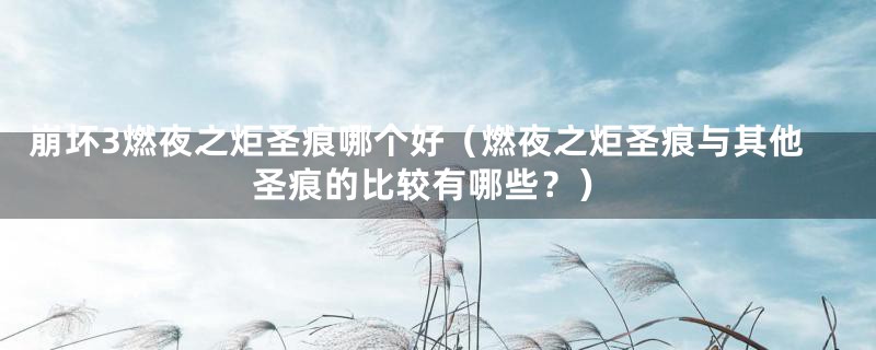 崩坏3燃夜之炬圣痕哪个好(燃夜之炬圣痕与其他圣痕的比较有哪些?)