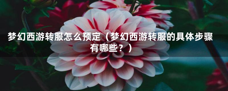 梦幻西游转服怎么预定(梦幻西游转服的具体步骤有哪些?)