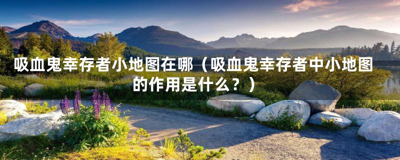 吸血鬼幸存者小地图在哪(吸血鬼幸存者中小地图的作用是什么?)
