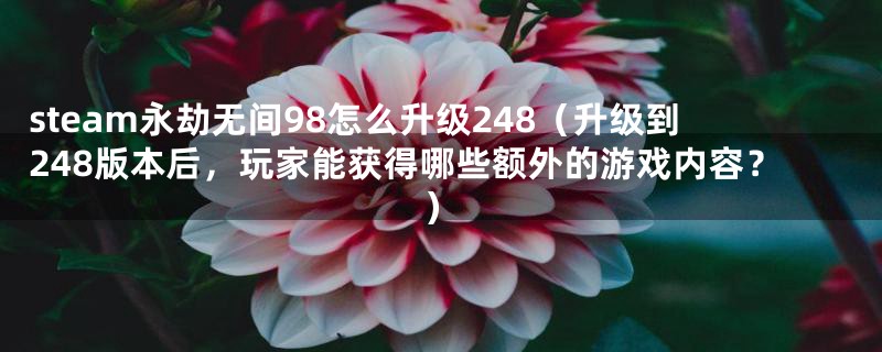 steam永劫无间98怎么升级248(升级到248版本后,玩家能获得哪些额外的游戏内容?)