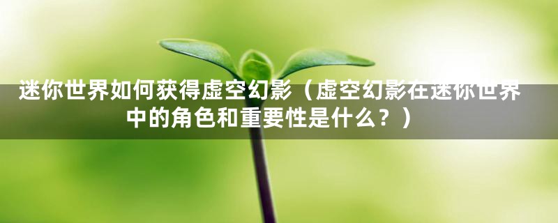 迷你世界如何获得虚空幻影(虚空幻影在迷你世界中的角色和重要性是什么?)