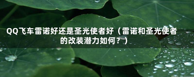 QQ飞车雷诺好还是圣光使者好(雷诺和圣光使者的改装潜力如何?)
