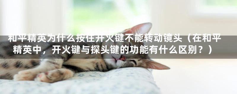 和平精英为什么按住开火键不能转动镜头(在和平精英中,开火键与探头键的功能有什么区别?)