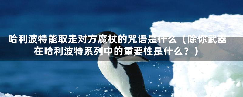 哈利波特能取走对方魔杖的咒语是什么(除你武器在哈利波特系列中的重要性是什么?)