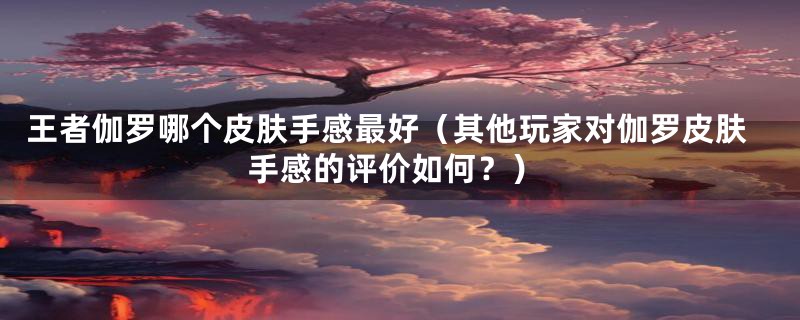 王者伽罗哪个皮肤手感最好(其他玩家对伽罗皮肤手感的评价如何?)