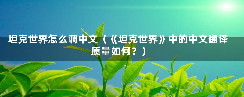 坦克世界怎么调中文(《坦克世界》中的中文翻译质量如何?)