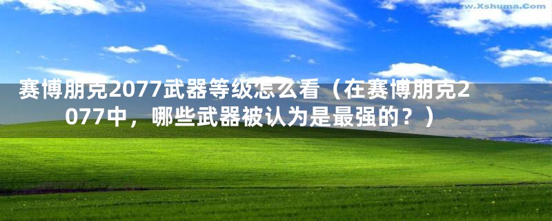 赛博朋克2077武器等级怎么看(在赛博朋克2077中,哪些武器被认为是最强的?)