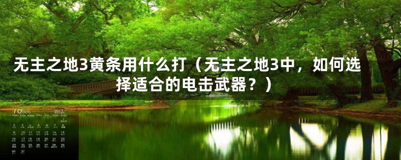 无主之地3黄条用什么打（无主之地3中，如何选择适合的电击武器？）