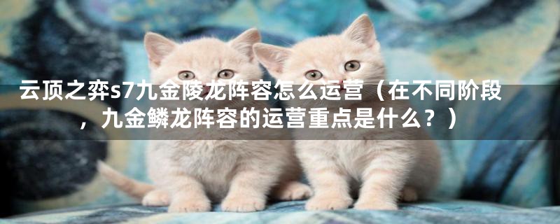 云顶之弈s7九金陵龙阵容怎么运营(在不同阶段,九金鳞龙阵容的运营重点是什么?)