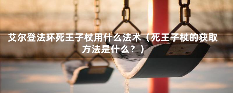 艾尔登法环死王子杖用什么法术（死王子杖的获取方法是什么？）