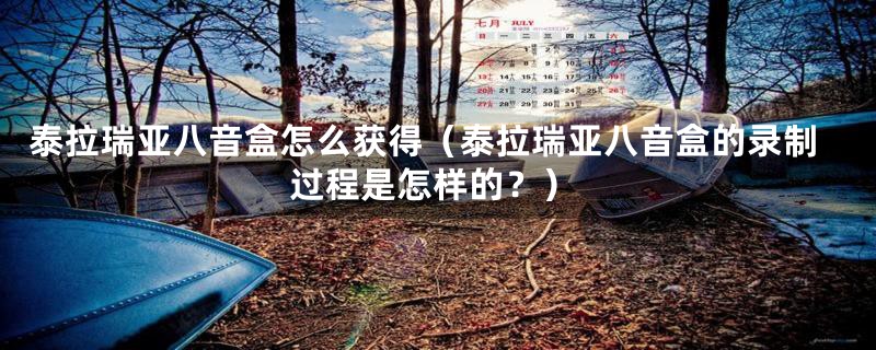 泰拉瑞亚八音盒怎么获得(泰拉瑞亚八音盒的录制过程是怎样的?)