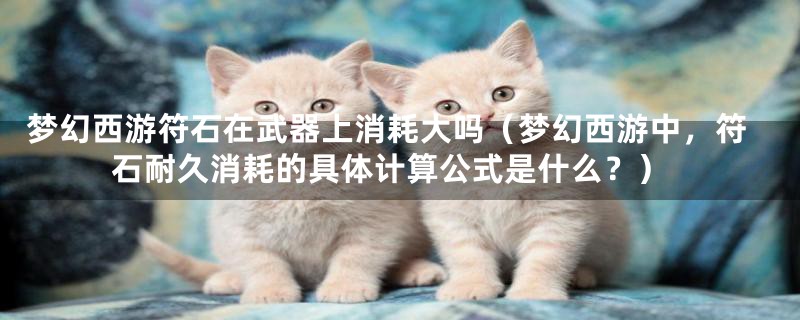 梦幻西游符石在武器上消耗大吗(梦幻西游中,符石耐久消耗的具体计算公式是什么?)