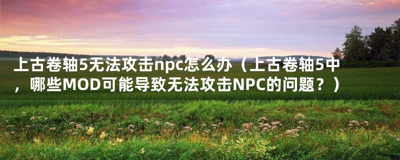 上古卷轴5无法攻击npc怎么办(上古卷轴5中,哪些MOD可能导致无法攻击NPC的问题?)