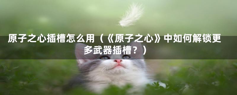 原子之心插槽怎么用(《原子之心》中如何解锁更多武器插槽?)