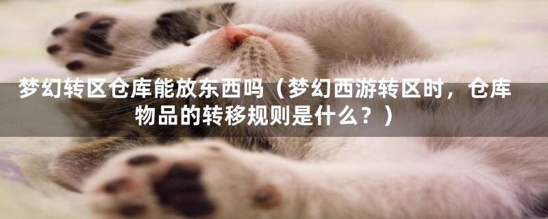 梦幻转区仓库能放东西吗(梦幻西游转区时,仓库物品的转移规则是什么?)