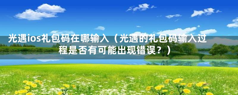 光遇ios礼包码在哪输入(光遇的礼包码输入过程是否有可能出现错误?)