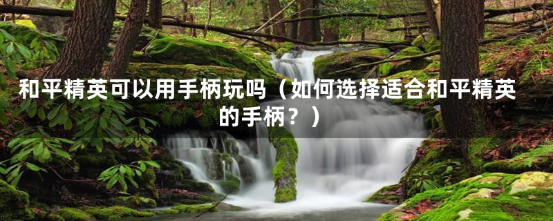 和平精英可以用手柄玩吗(如何选择适合和平精英的手柄?)