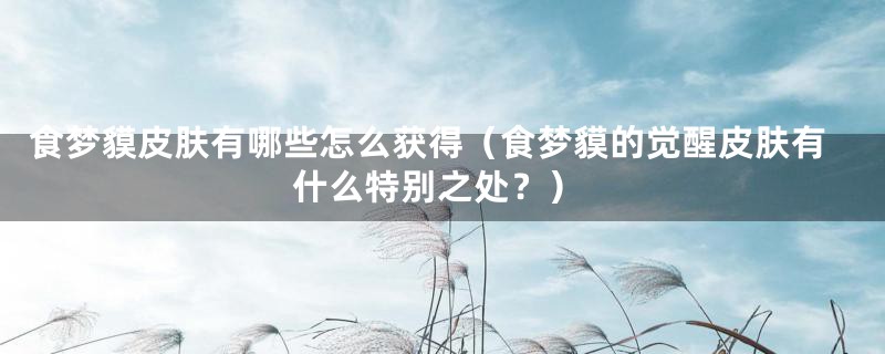 食梦貘皮肤有哪些怎么获得(食梦貘的觉醒皮肤有什么特别之处?)