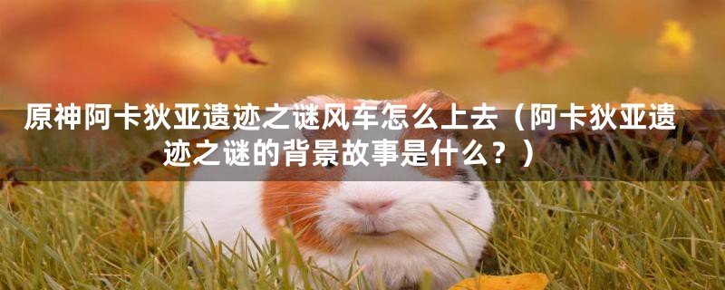原神阿卡狄亚遗迹之谜风车怎么上去(阿卡狄亚遗迹之谜的背景故事是什么?)