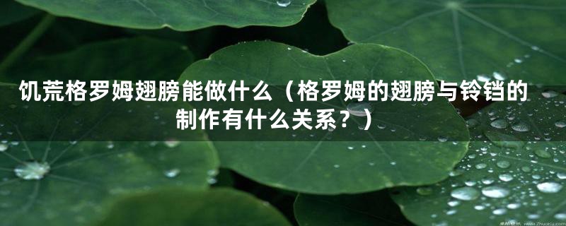 饥荒格罗姆翅膀能做什么(格罗姆的翅膀与铃铛的制作有什么关系?)
